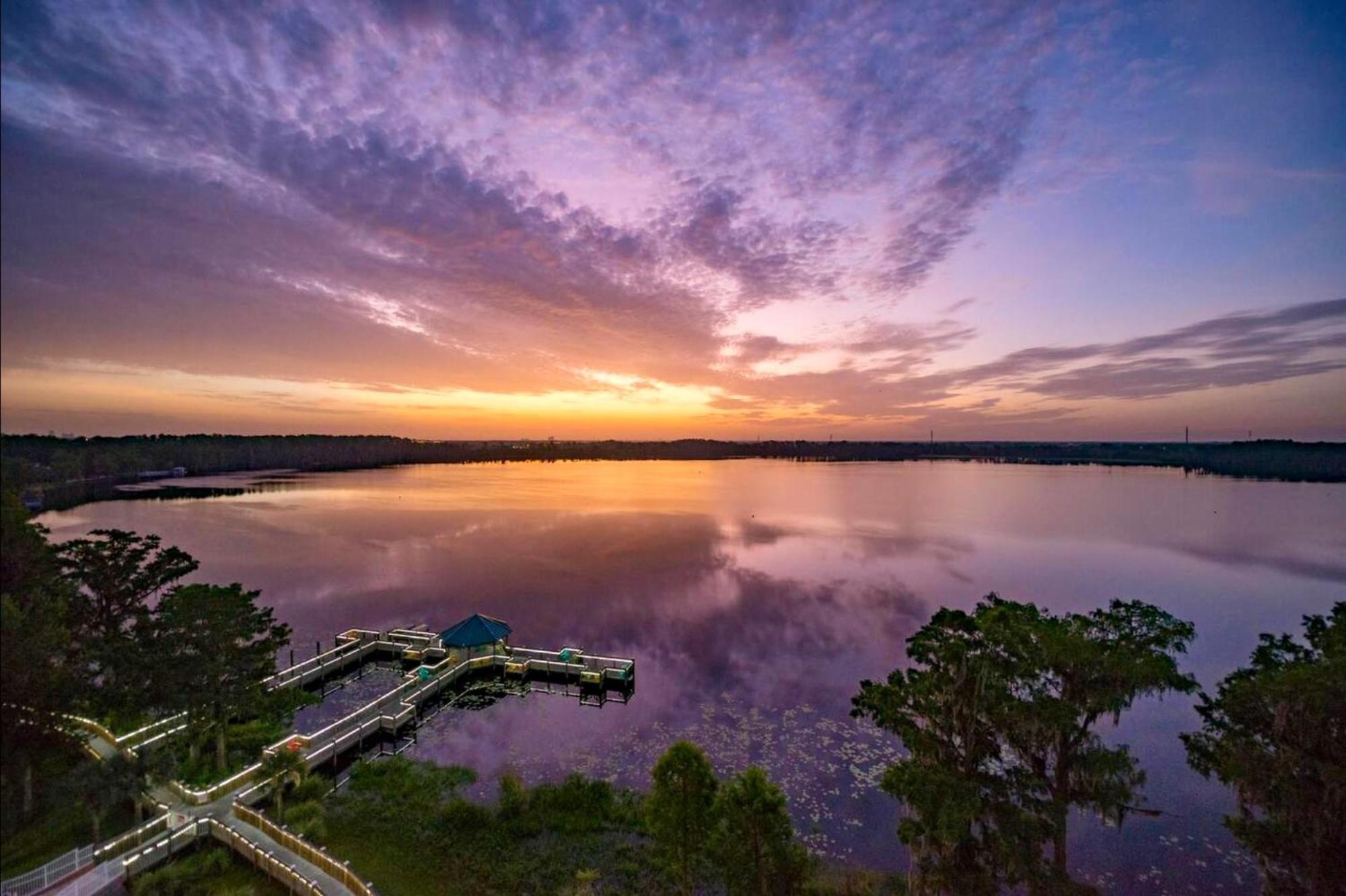 Balcony King Suite - Lake & Pool View Orlando Dış mekan fotoğraf